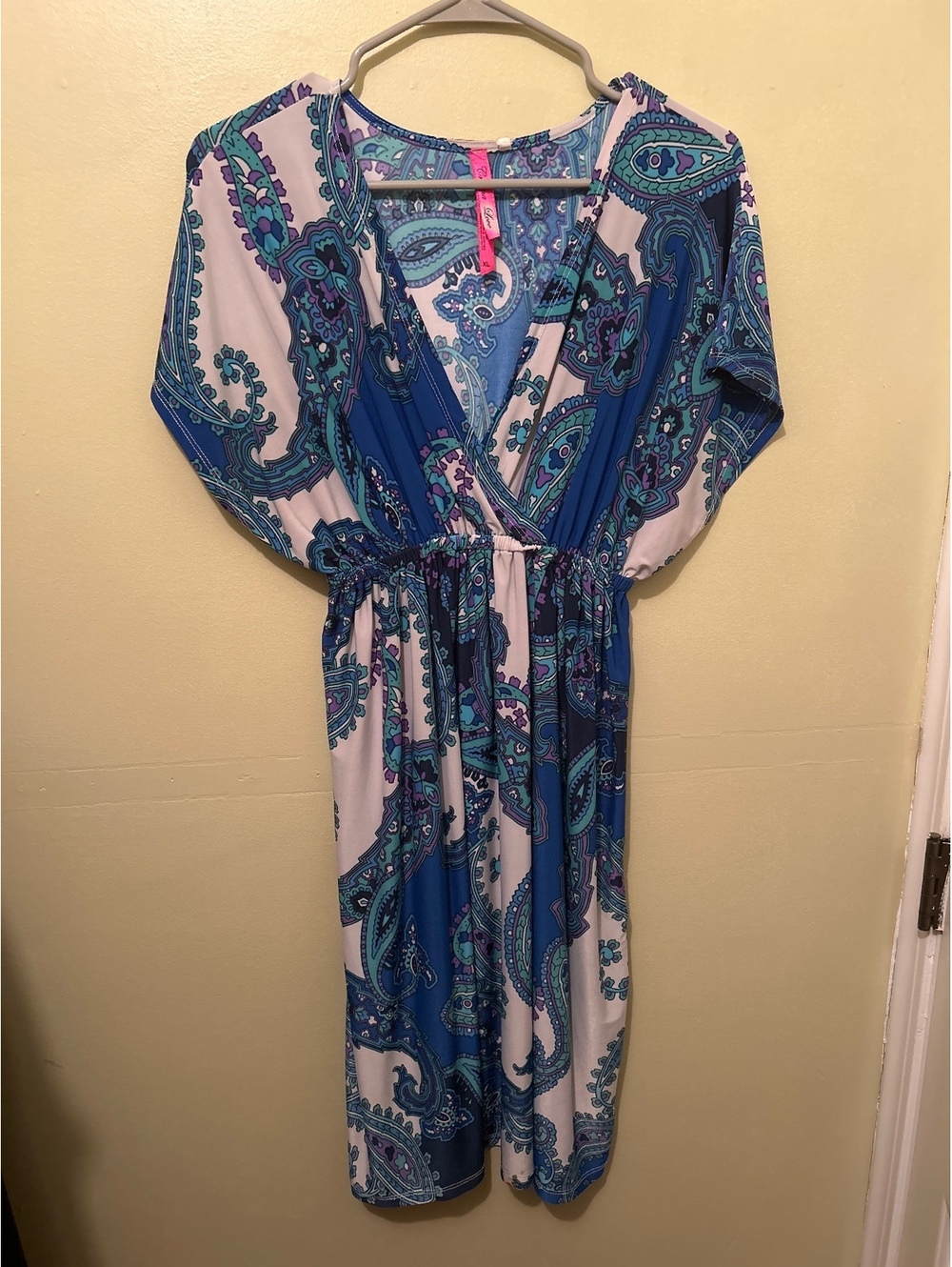Cristina Love XL Blue and Purple Paisley Print Dress